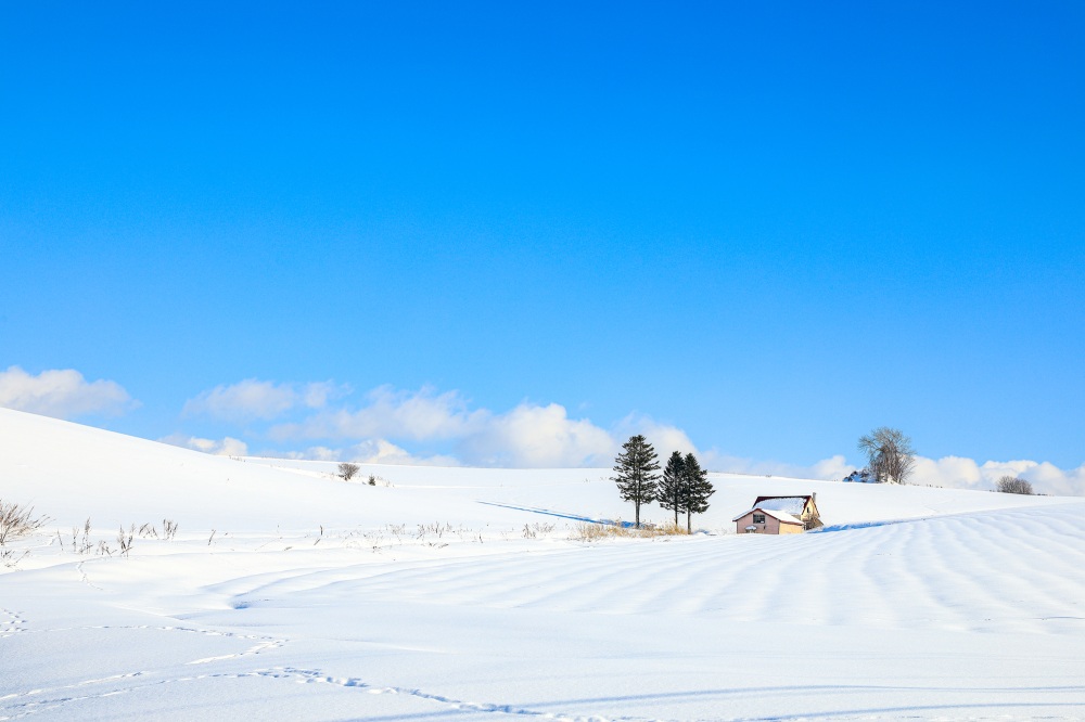 Hokkaido travel guide for winter in Hokkaido's uniqueness.