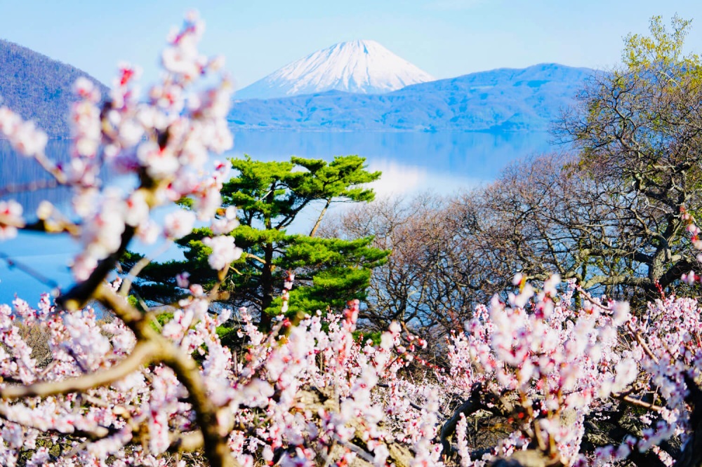 Best Places to Visit in Hokkaido: Spring – early Summer vol.1