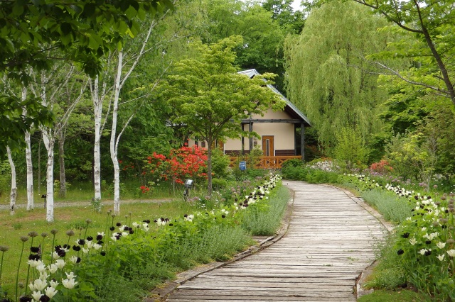 Tokachi Hills (Hokkaido Garden Path)