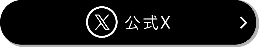 公式X