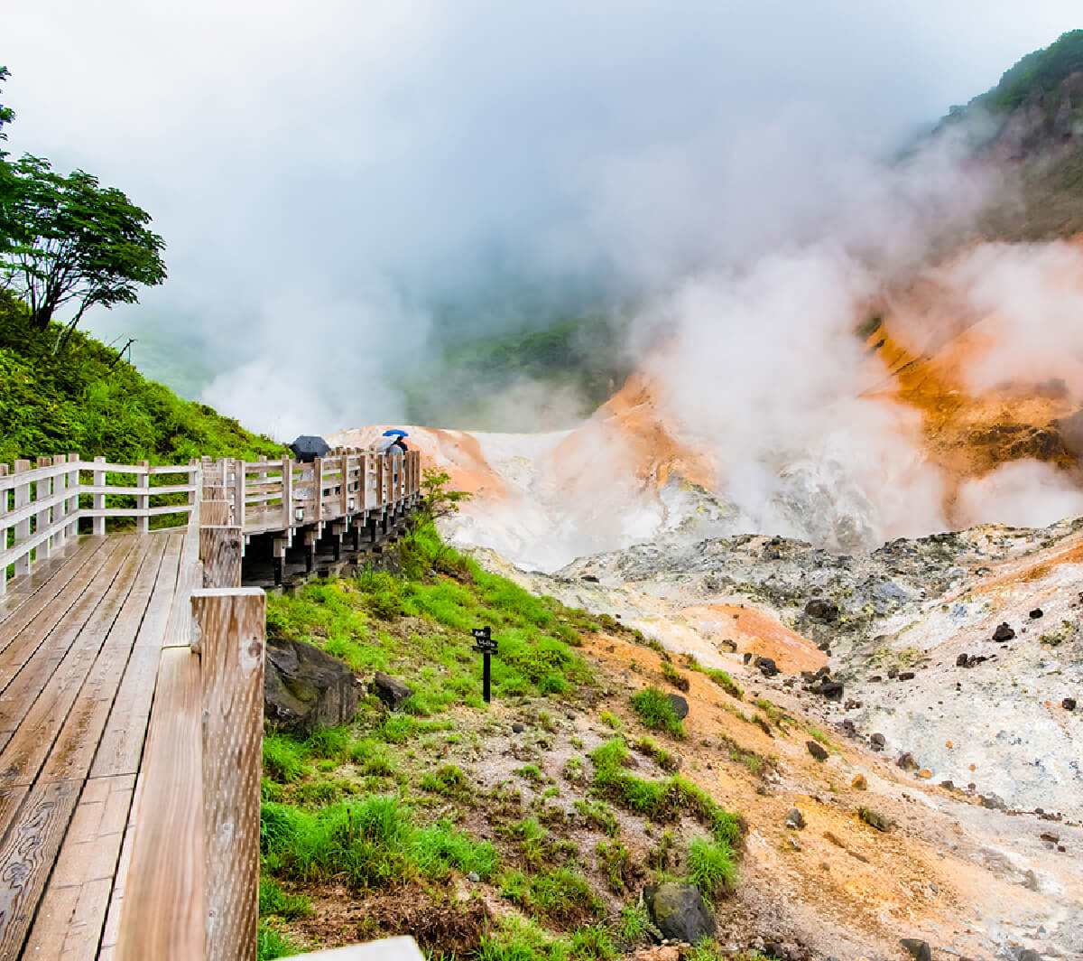 洞爷、登别、日高近郊