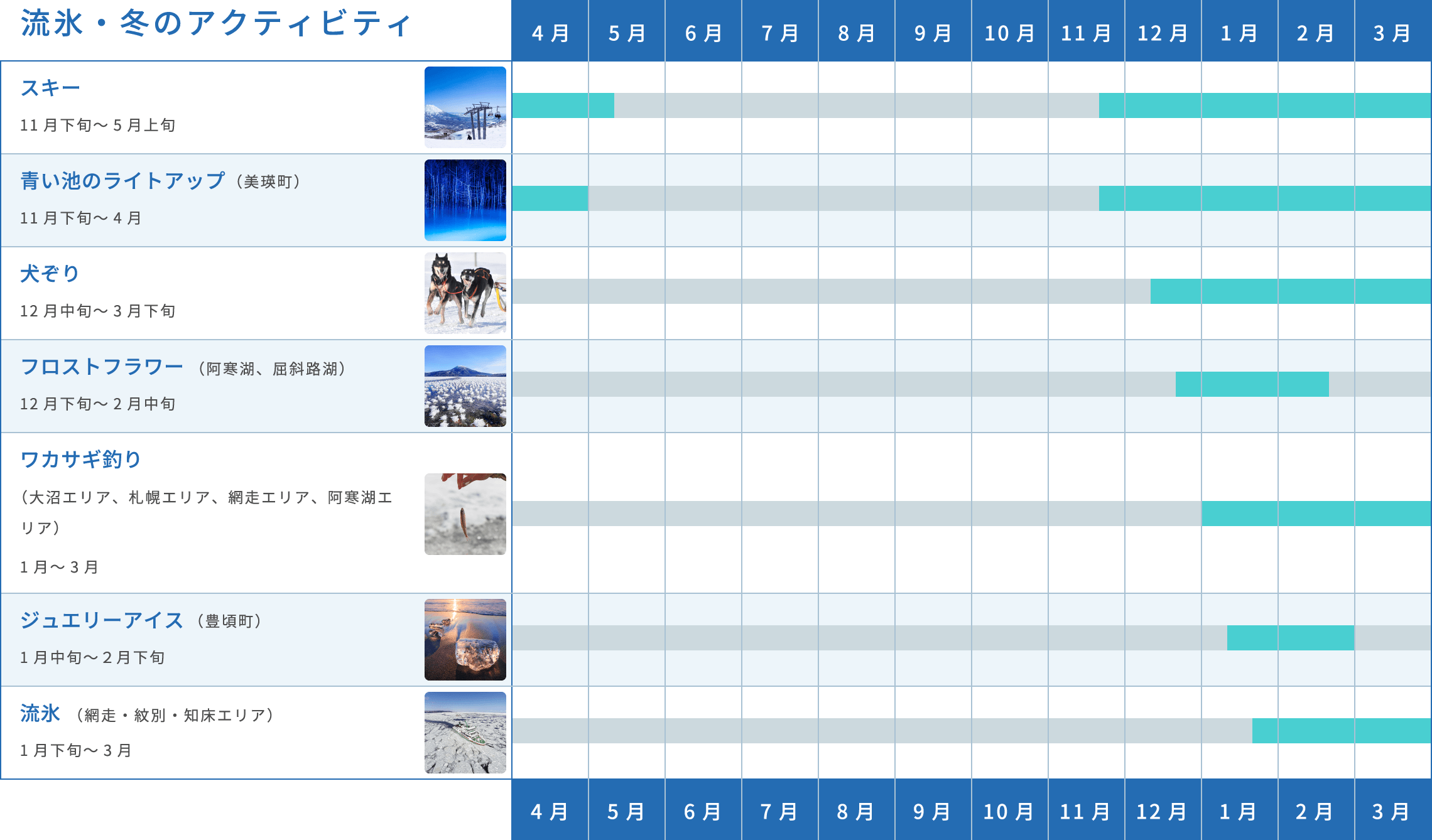 流氷・冬のアクティビティ