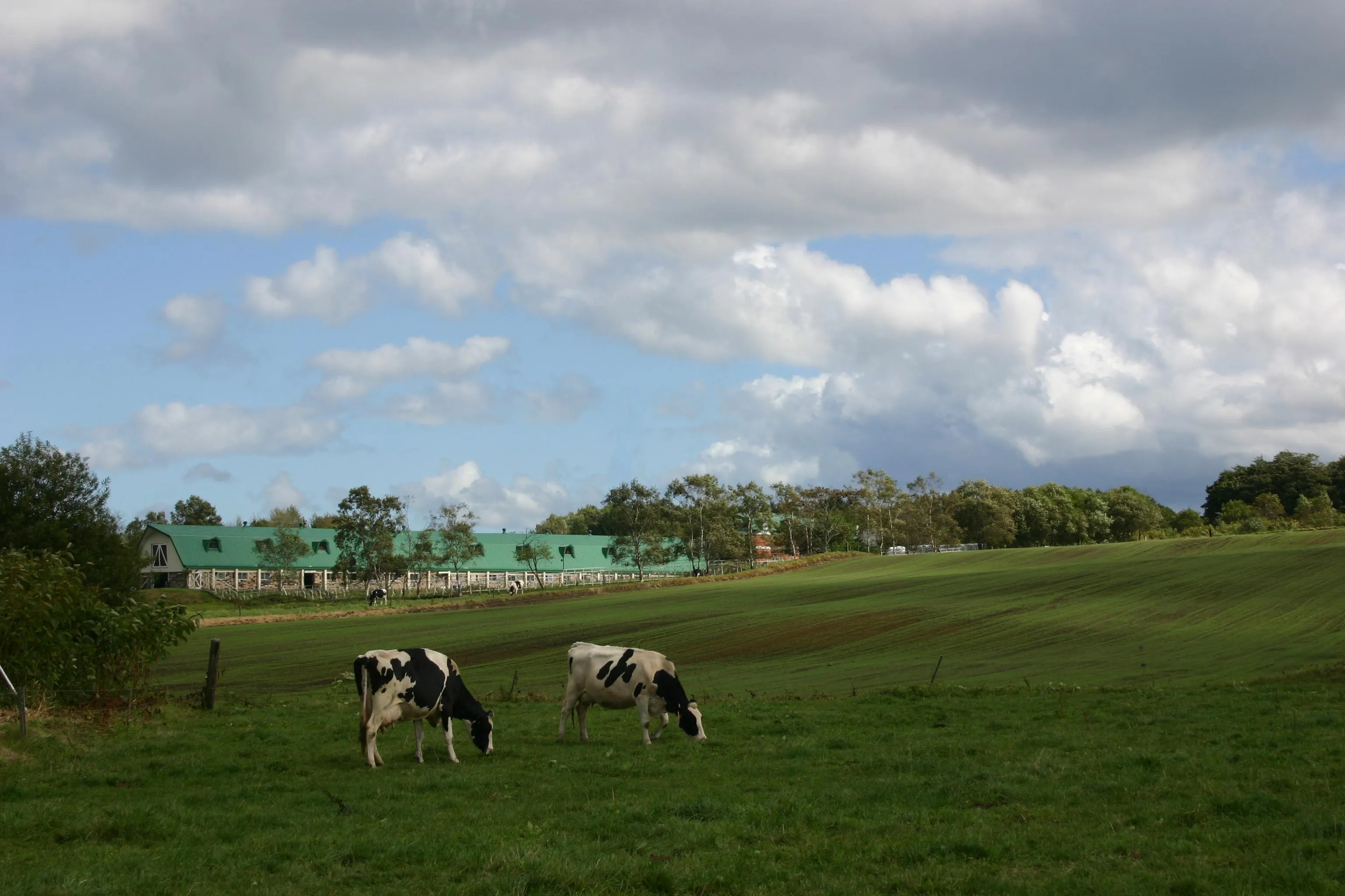 Lake Hill Farm