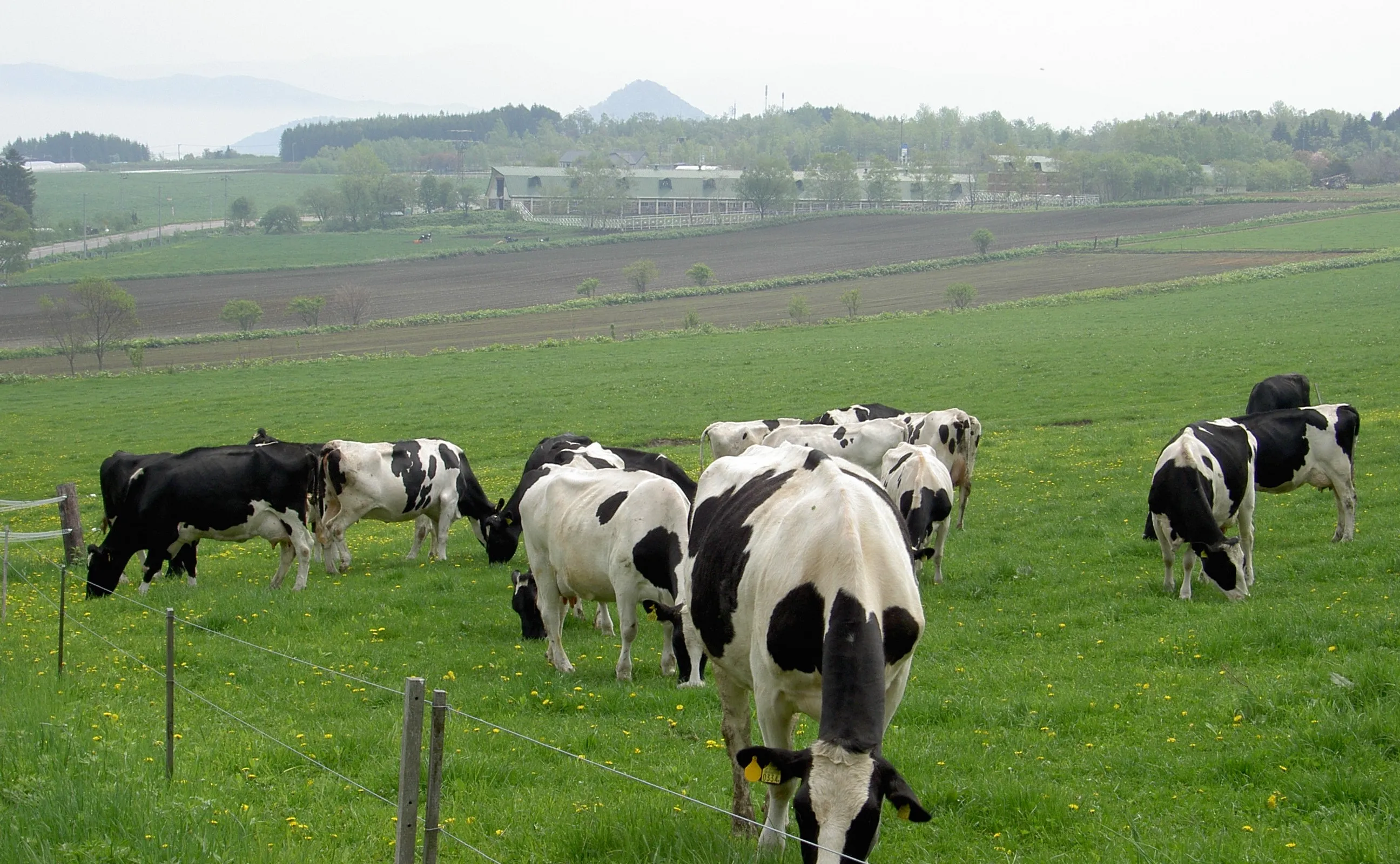 Lake Hill Farm