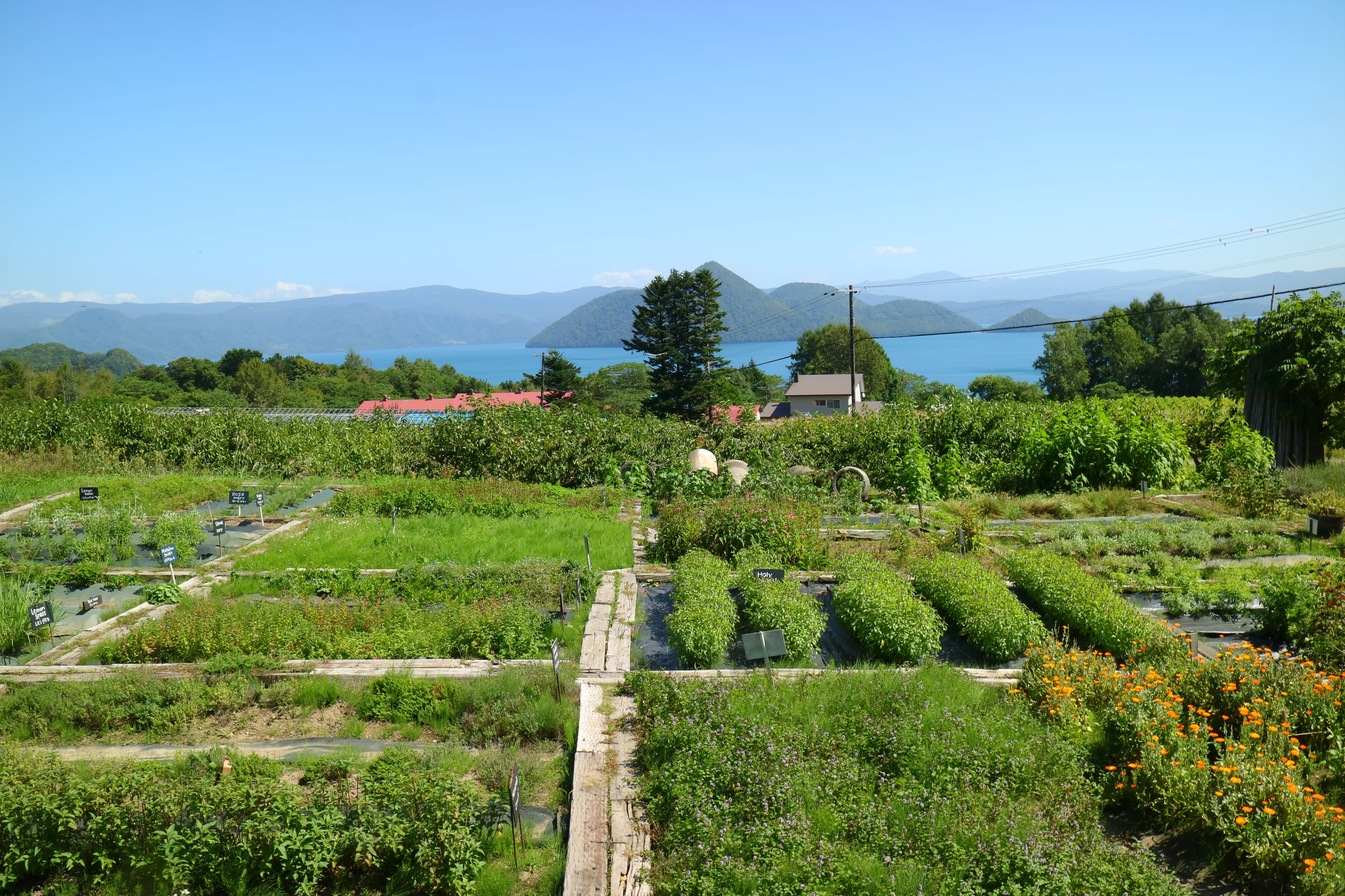Lake Hill Farm