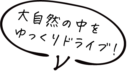 大自然の中をゆっくりドライブ！