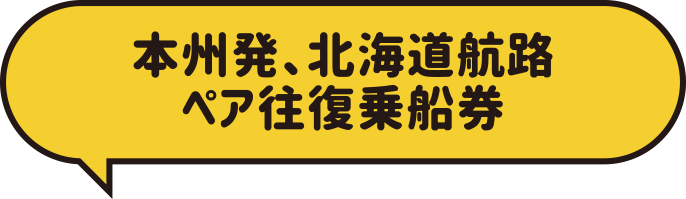 本州発、北海道航路 ペア往復乗船券