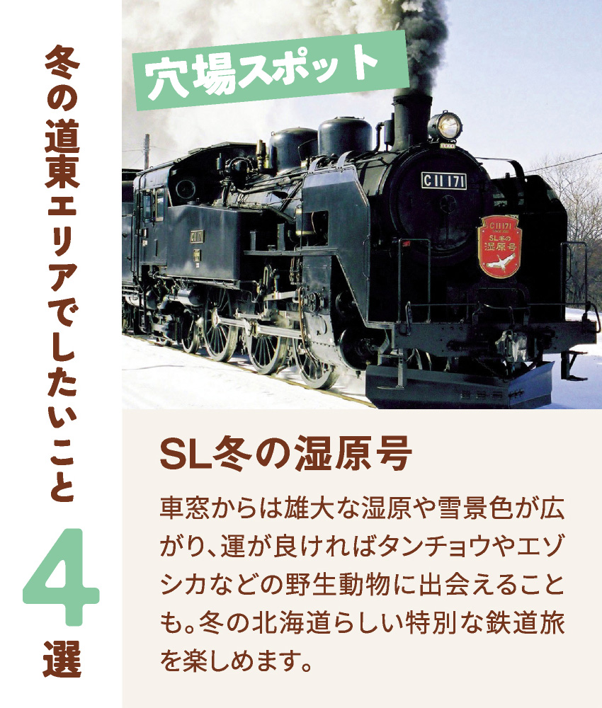 穴場スポット SL冬の湿原号 車窓からは雄大な湿原や雪景色が広がり、運が良ければタンチョウやエゾシカなどの野生動物に出会えることも。冬の北海道らしい特別な鉄道旅を楽しめます。