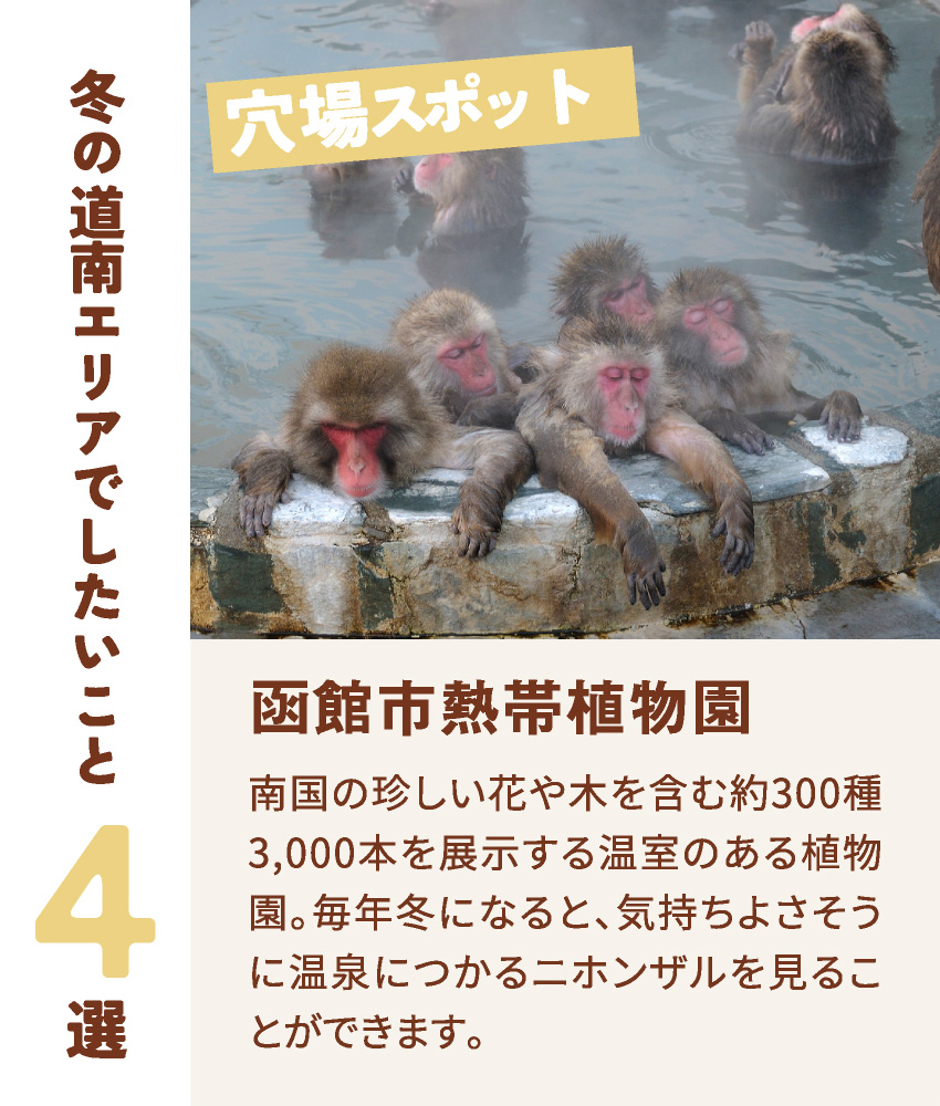 穴場スポット 函館市熱帯植物園 南国の珍しい花や木を含む約300種3,000本を展示する温室のある植物園。