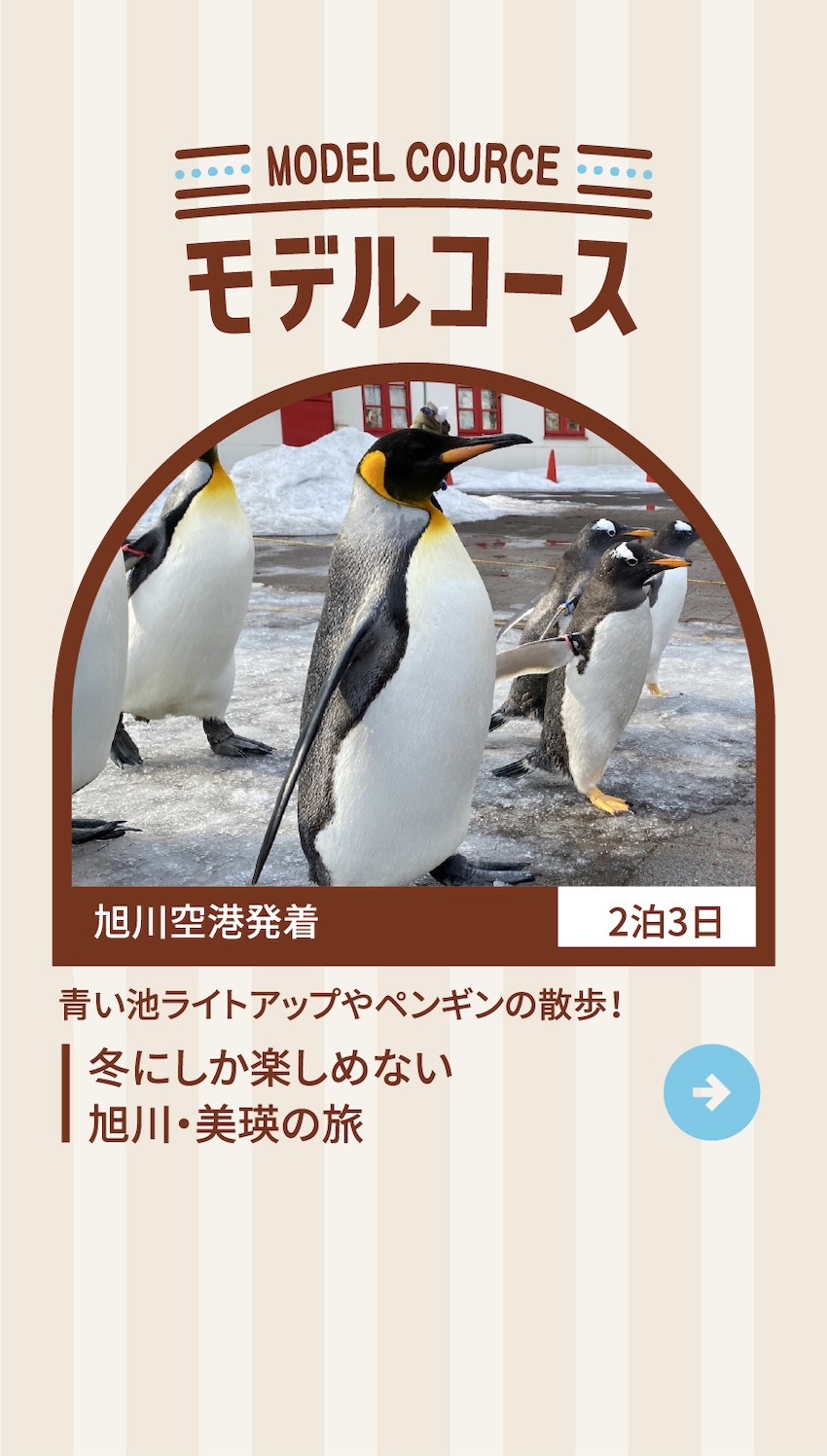 MODEL COURCE モデルコース 旭川空港発着 2泊3日 青い池ライトアップやペンギンの散歩！