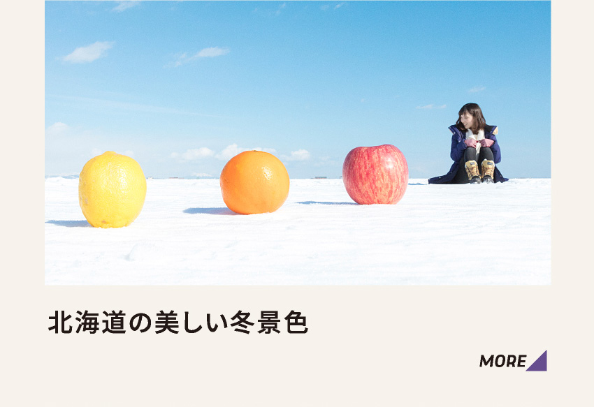 北海道の美しい冬景色 MORE