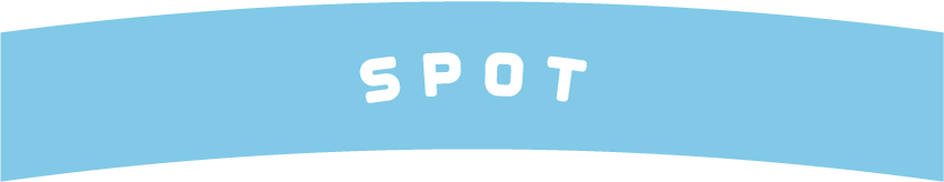 SPOT