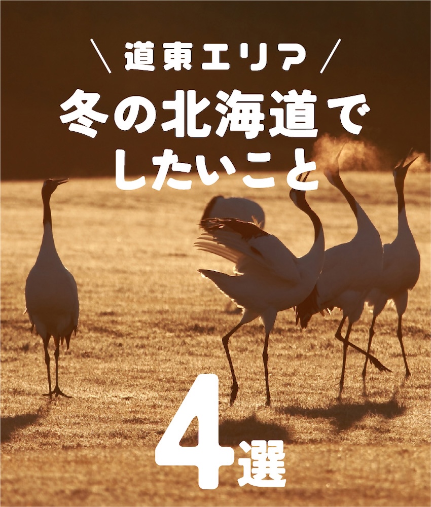 道東エリア 冬の北海道でしたいこと4選
