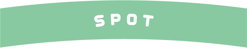 SPOT