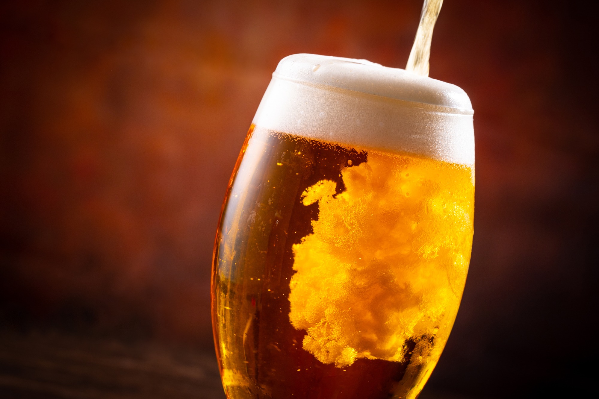 Enjoy Domestic Beer in Its Homeland! A Lineup of Unique and Skilled Brews