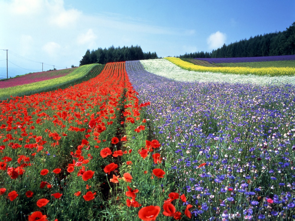 Area Guide Northern Hokkaido