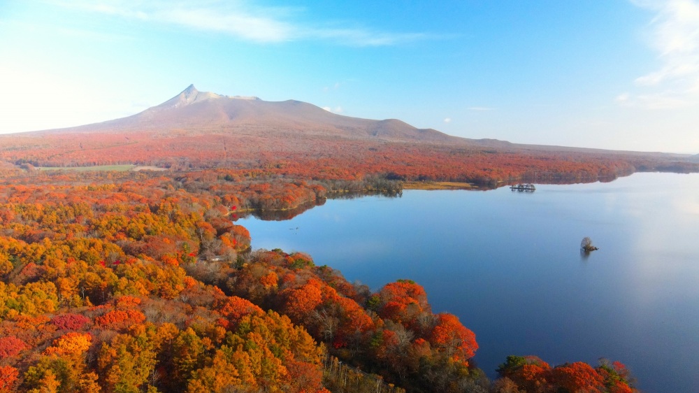 自然美あふれる北海道の人気スポットで秋の絶景を満喫