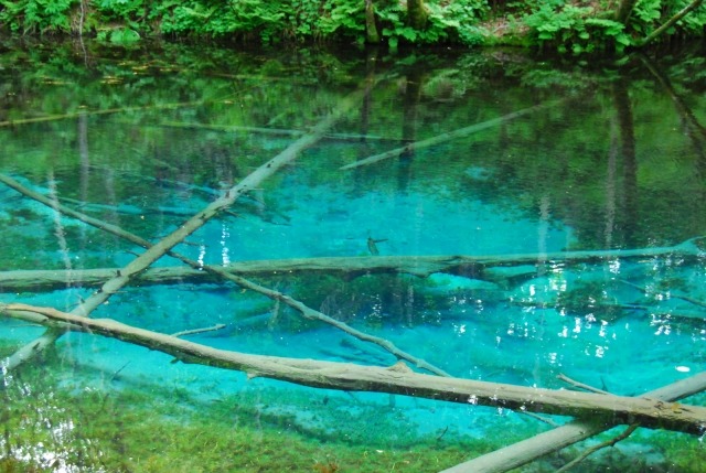 美麗得讓人不禁想拍照的北海道的「什麼什麼藍色」3選