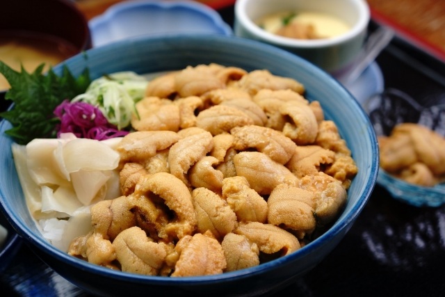 海胆捕获量日本第一・北海道！夏季积丹海胆之旅