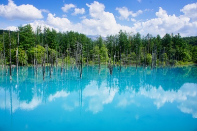 北海道の青い池はなぜ青い？冬のライトアップ情報やアクセス方法もご紹介