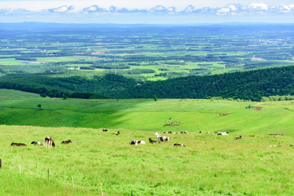 北海道らしい雄大な自然風景！初めての「十勝・帯広」観光はこう楽しむ！