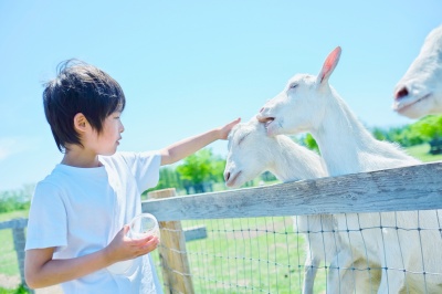 編集スタッフおすすめ！動物とふれあい体験が楽しめるスポット