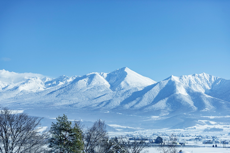 “If you build it, they will come” – Sake Brewing in Local Hokkaido