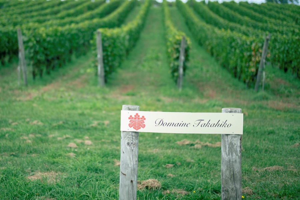 北海道余市、持続可能なワインパラダイス