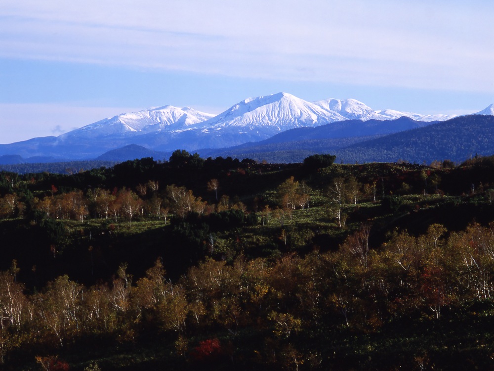 Sustainable Furniture from Northern Hokkaido