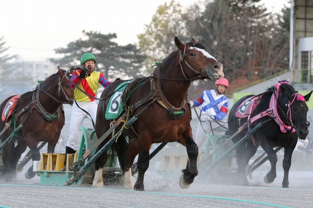 十勝の郷土文化を深く掘り下げ、競馬や農作業とグルメを満喫！【帯広空港編】