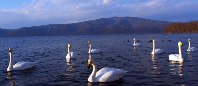 Nature Activities with Kids in Kushiro