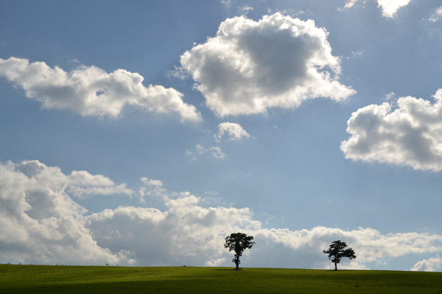 Explore the nature of East Hokkaido