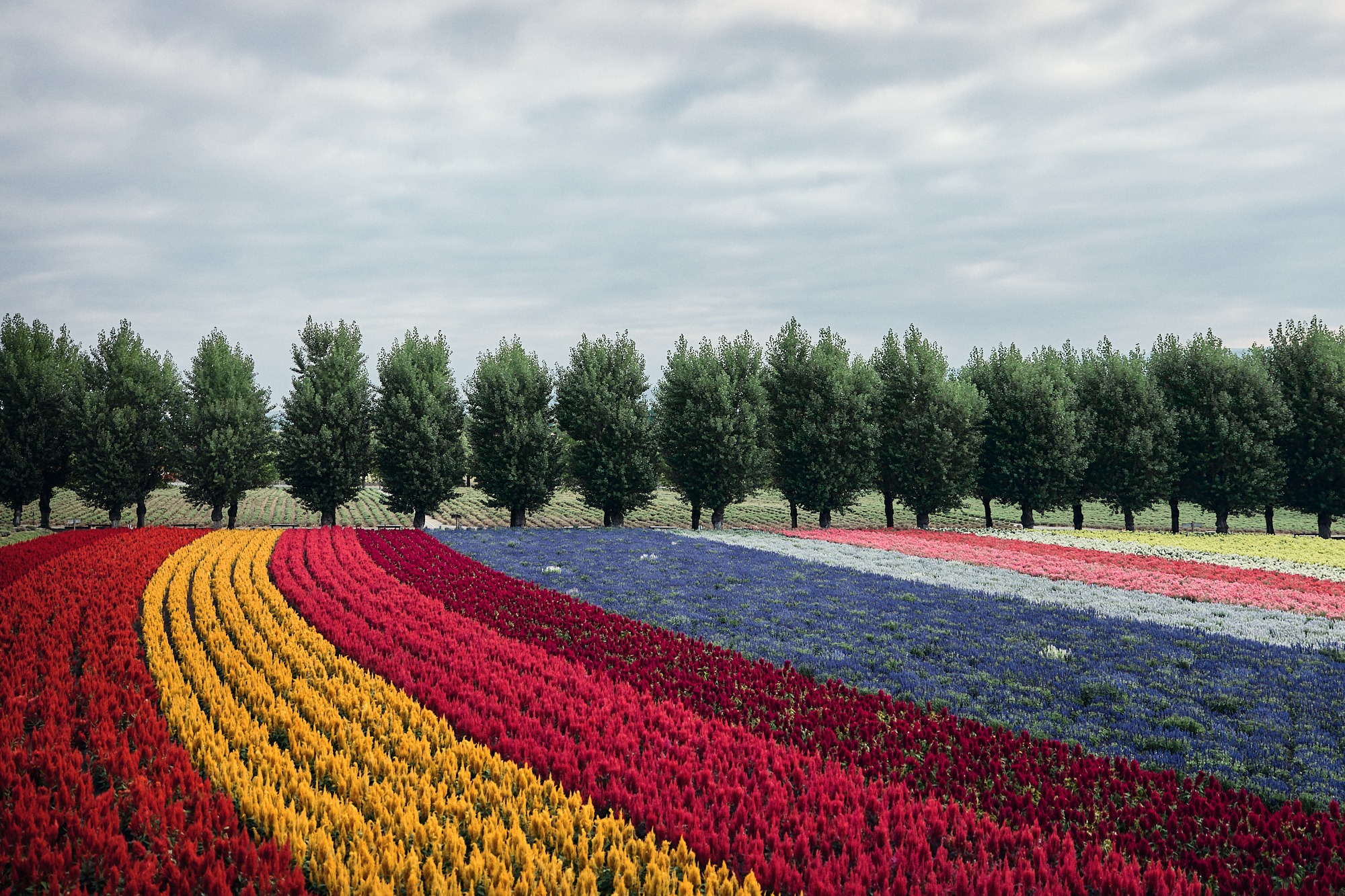 A refresh for mind and soul in Northern Hokkaido