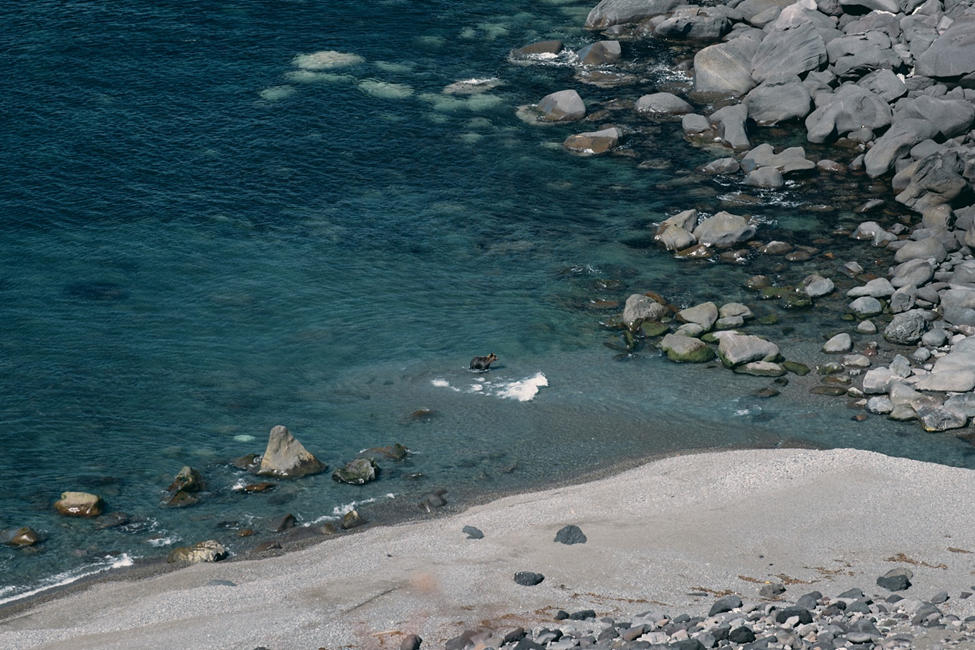 To Shiretoko and Beyond: Diving Deep into Eastern Hokkaido