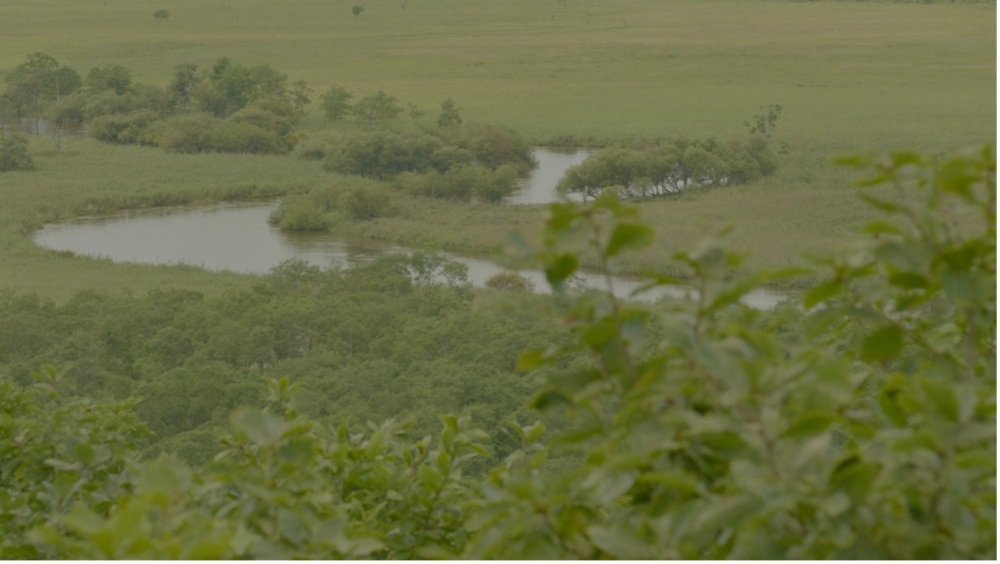 Into the Wild: Enjoy a Drive like No Other through Hokkaido’s Beautiful East