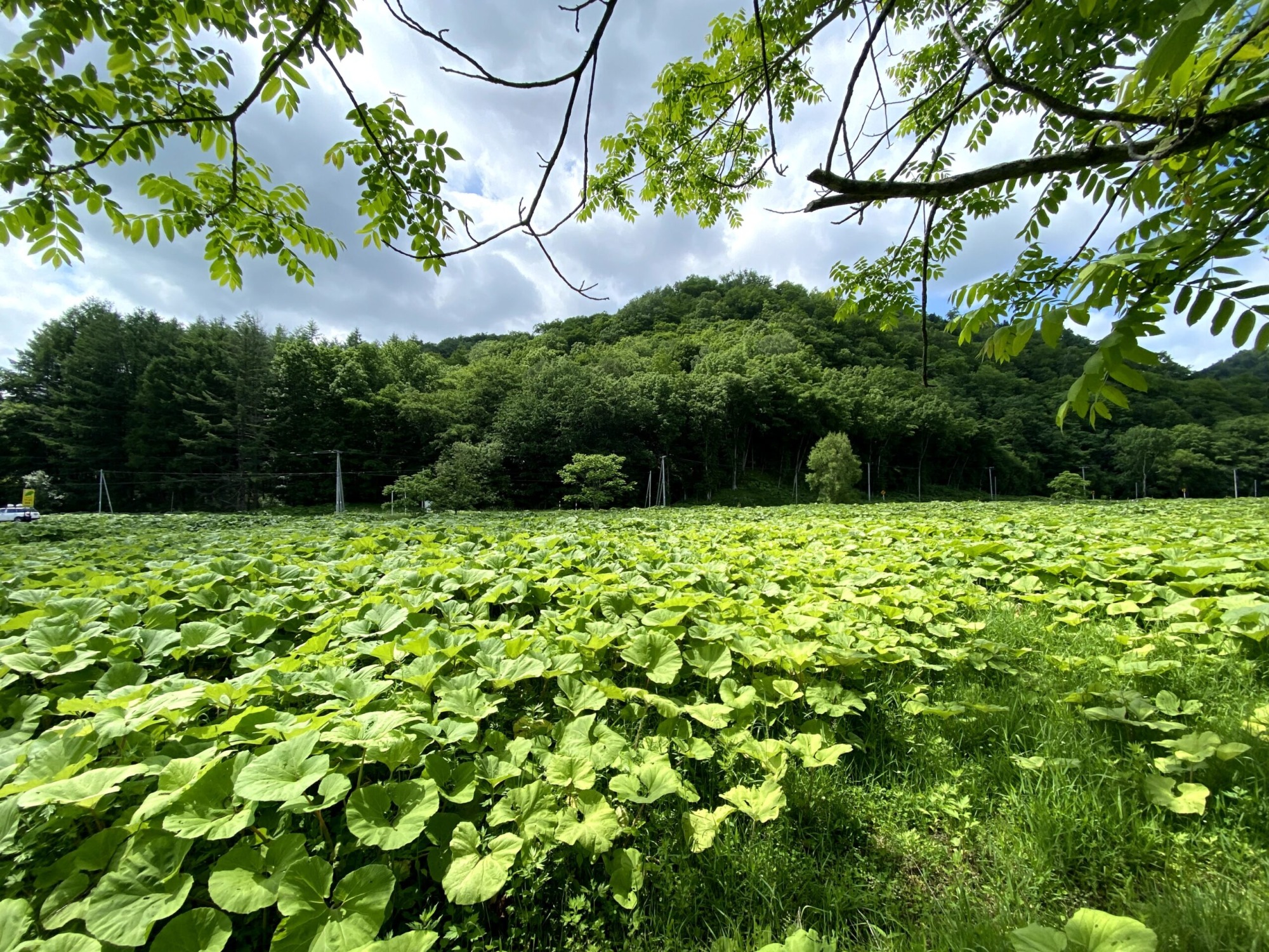 帶廣到女滿別， 山谷地方特色產業巡禮