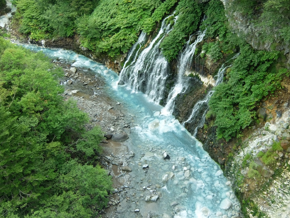 旭川花海、十勝牧場、釧路太平洋！用眼睛飽嚐北海道的夏秋兜風路線