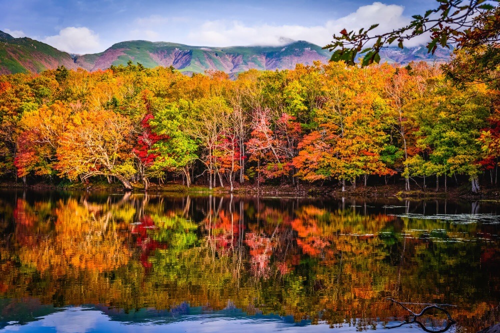 絕景北海道・上