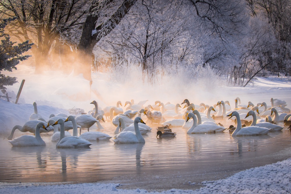 5 Must-Visit Hot Springs in Hokkaido