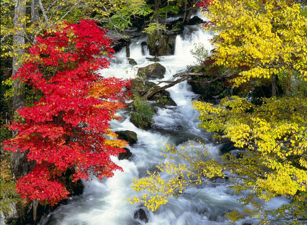 5 Lakes / Ponds with Beautiful Fall Leaves in Hokkaido