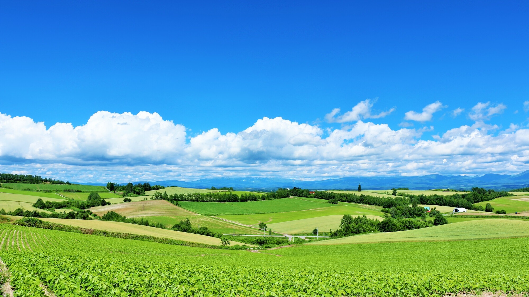 夏季北海道旅游指南