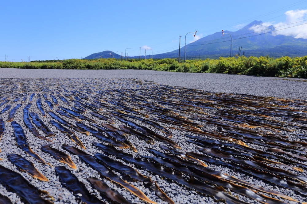Rishiri Kelp: A Master of Enhancing Natural Flavors