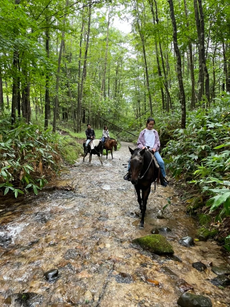 西部村莊沙幌的野性騎馬體驗