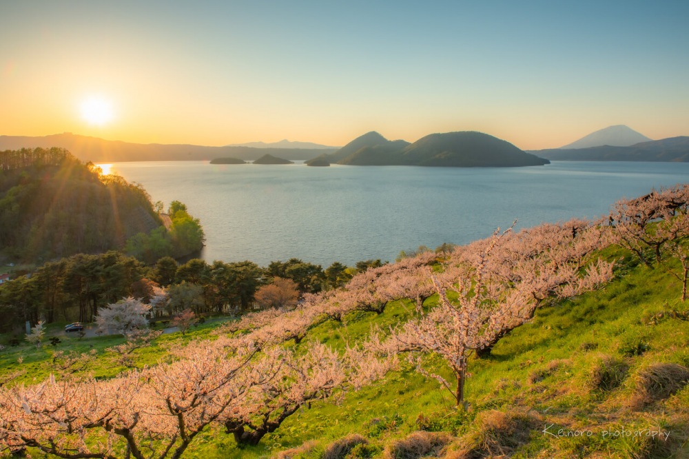 Sobetsu-cho in May, after the harsh winter. About 300 plum trees are planted in Sobetsu Park, which is in full bloom from mid-May. ©Noro Keiichi