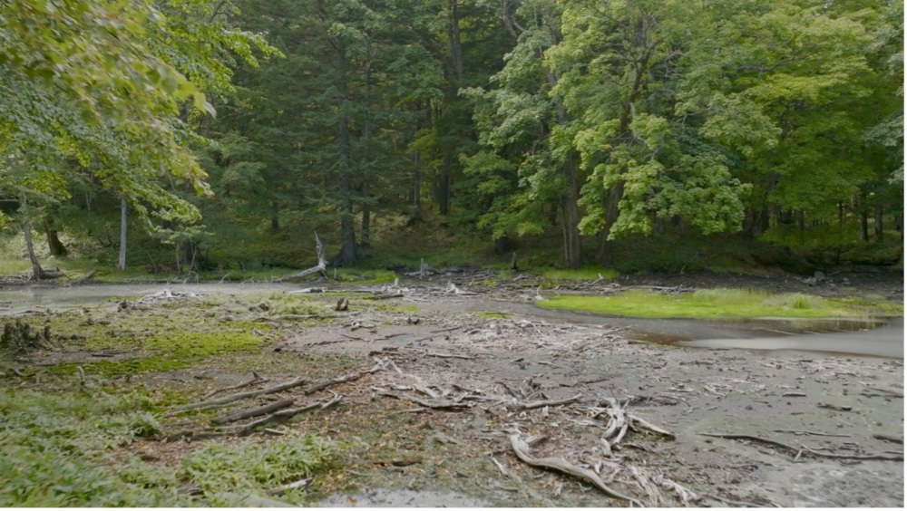 Mysterious Forest Lake Akan