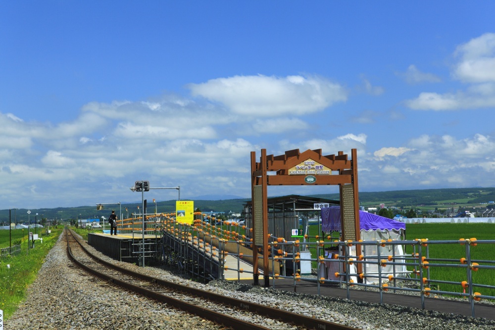 Lavender Field Station