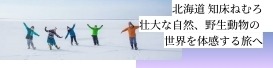 北海道知床ねむろ 壮大な自然、野生動物の世界を体験する旅へ