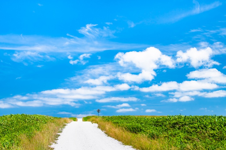 Travel to Japan's northernmost point, Cape Soya and Rishir…