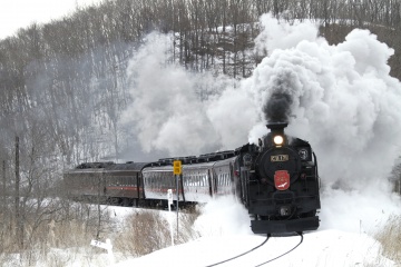 Fully Enjoy the Tancho, Wakasagi Fishing, and the SL Fuyu-no-Shitsugen Train! Winter Trip to Kushiro and Akan