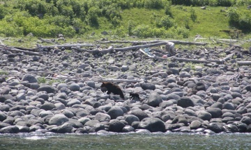 野生動物を発見？！カメラ好きにもおすすめコース